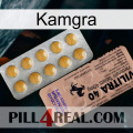 Kamgra 41